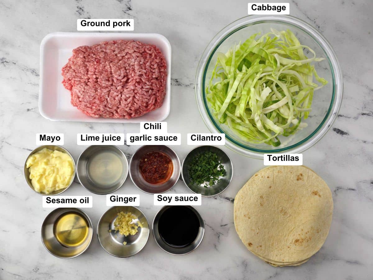 Ingredients on a counter top.