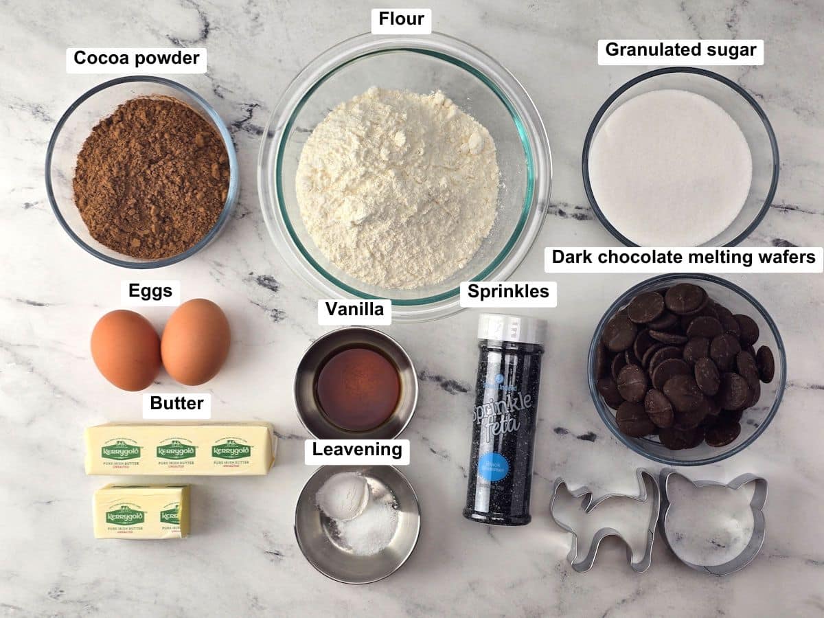 Ingredients on a counter top.