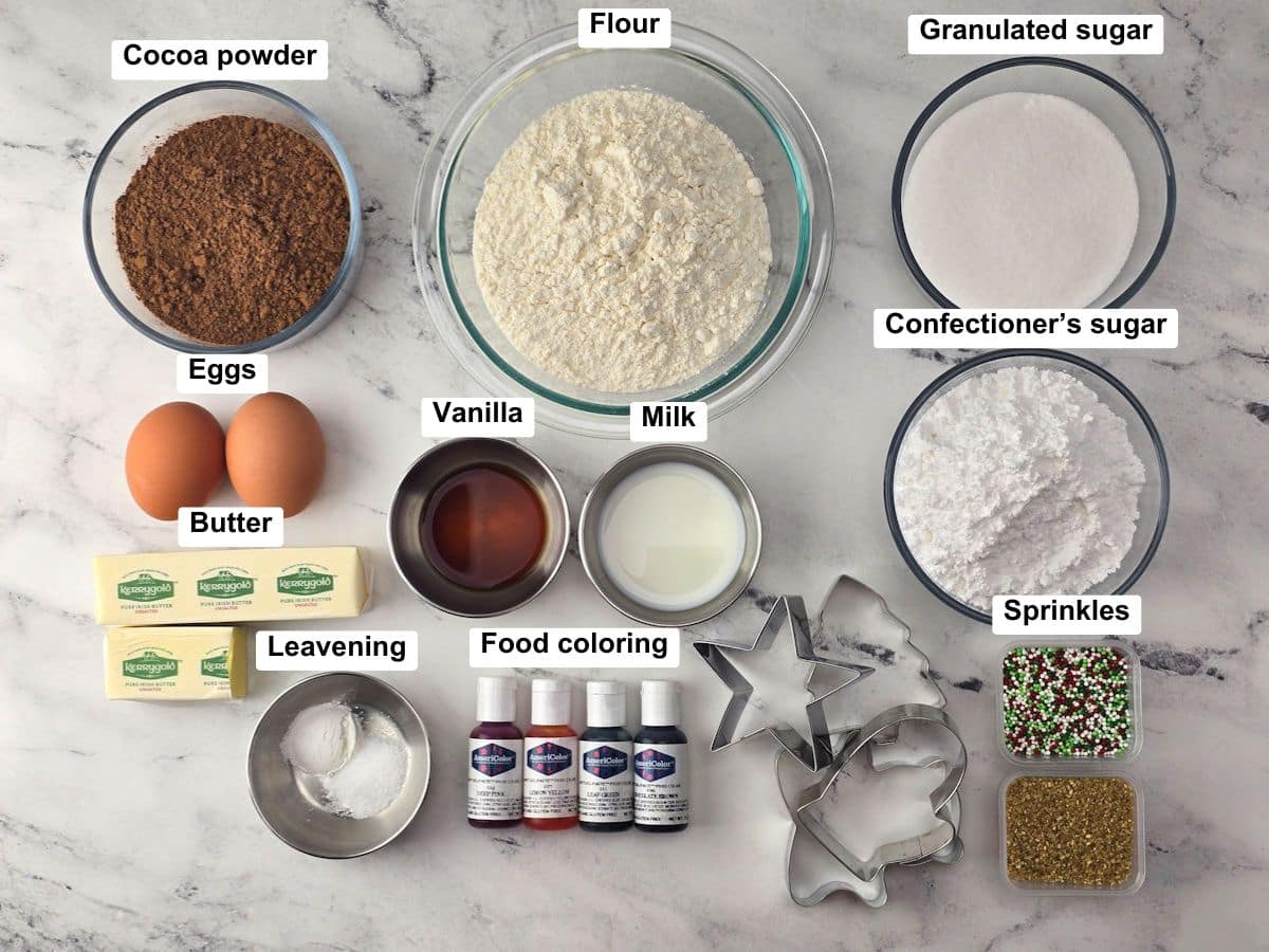 Ingredients on a counter top.
