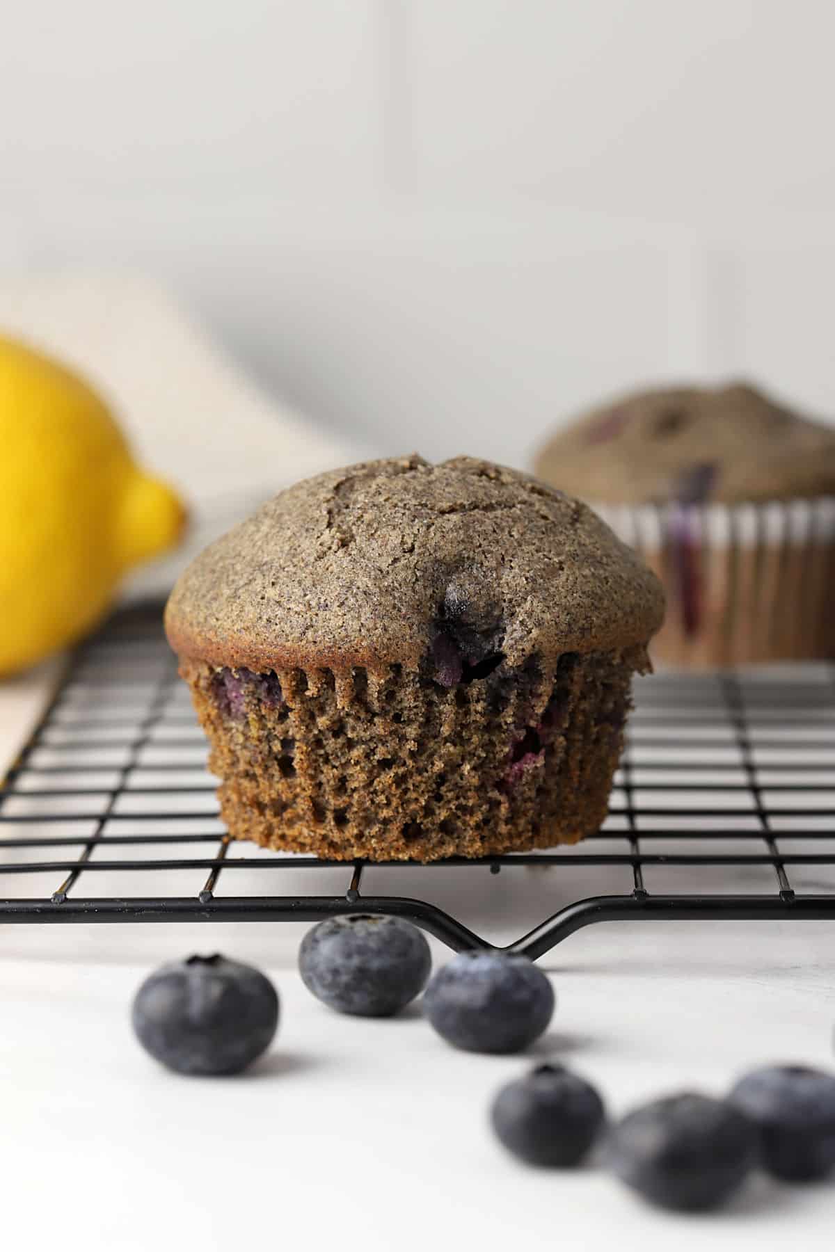 A muffin on a cooling rack with blueberries.