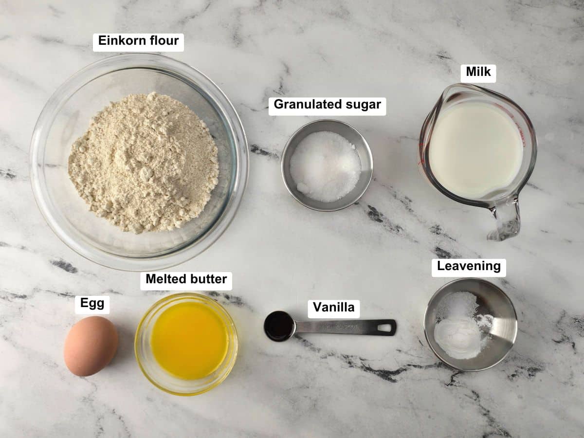 Ingredients on a counter top.
