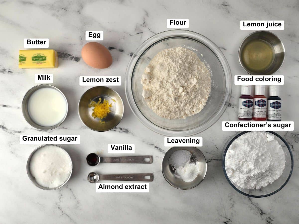 Ingredients on a counter top.