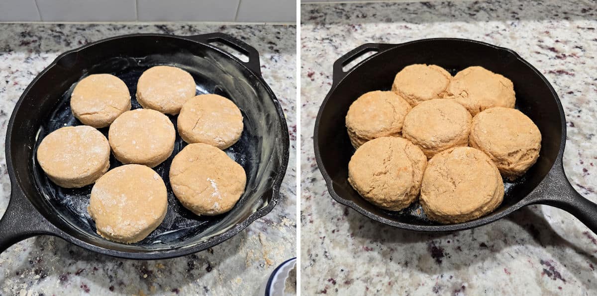 Baking einkorn biscuits.