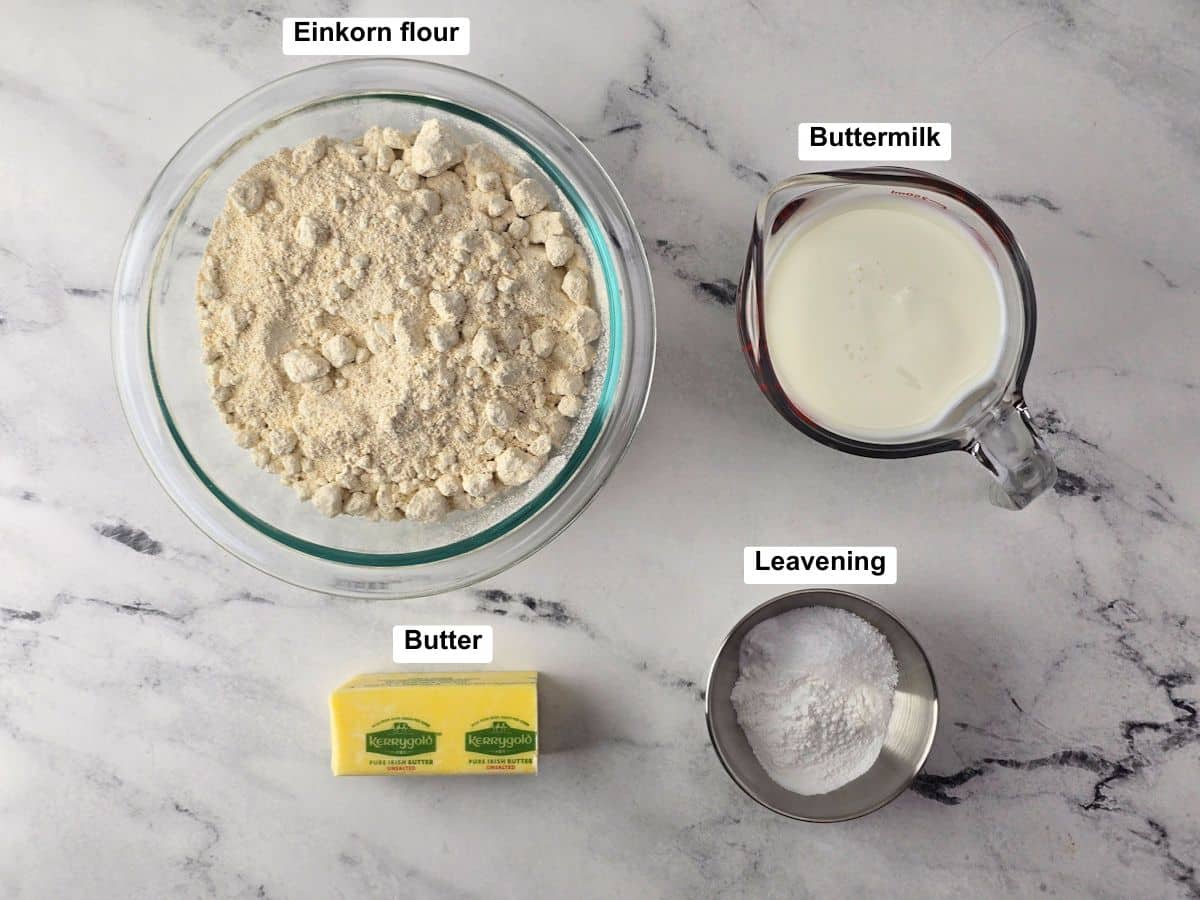 Ingredients on a counter top.