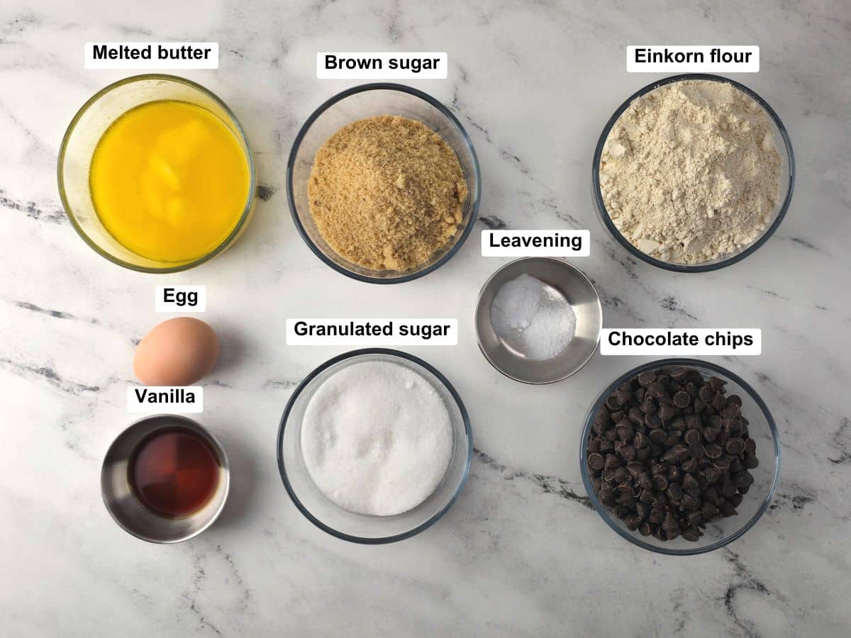 Ingredients on a counter top.