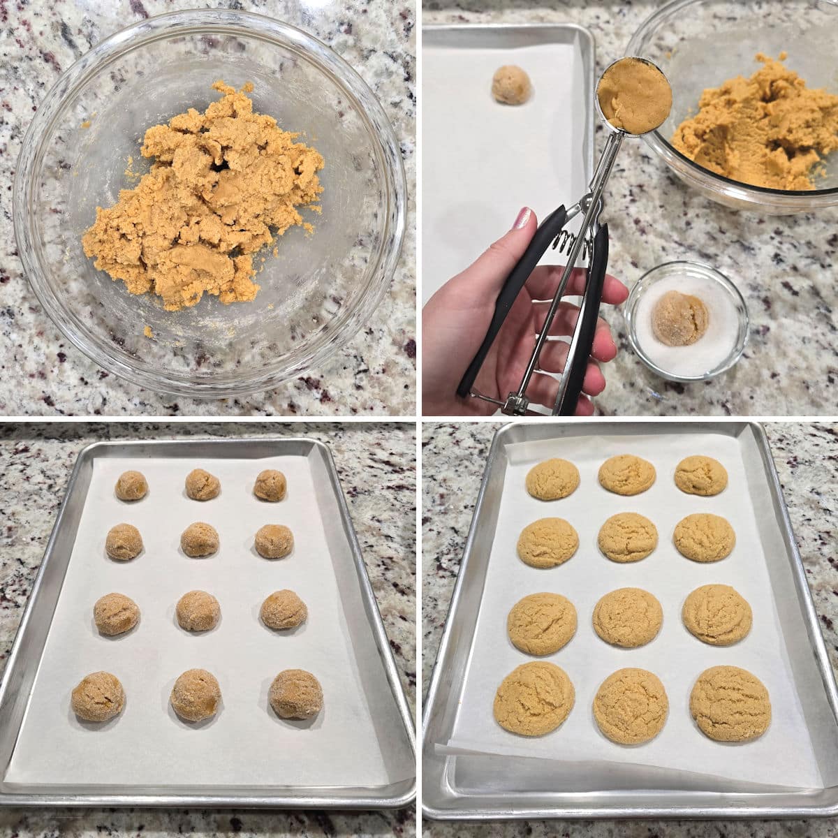 Making einkorn sugar cookies.