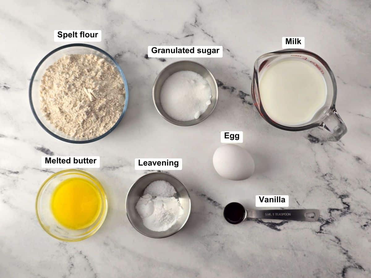 Ingredients on a counter top.