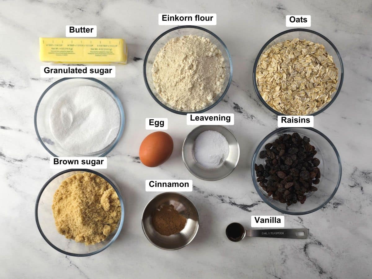 Ingredients on a counter top.