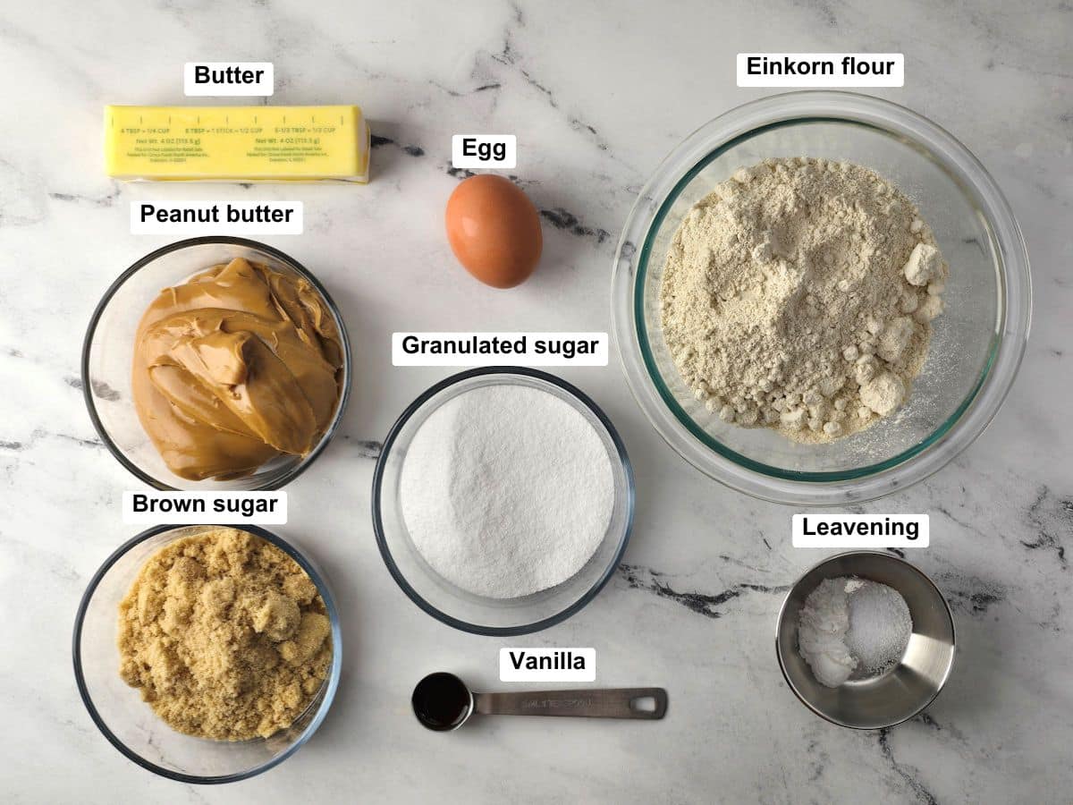 Ingredients on a counter top.